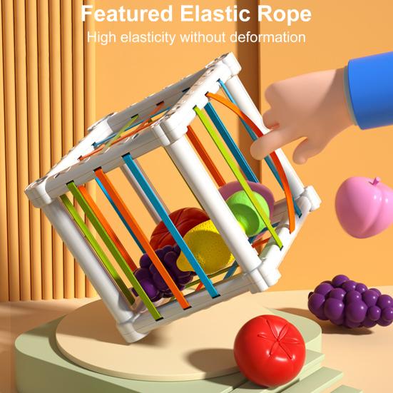 1 Set Rainbow Enhance Fruit Cognitive Toy Set Recognition Color Shape Perfect Sensory Perception for Toddlers