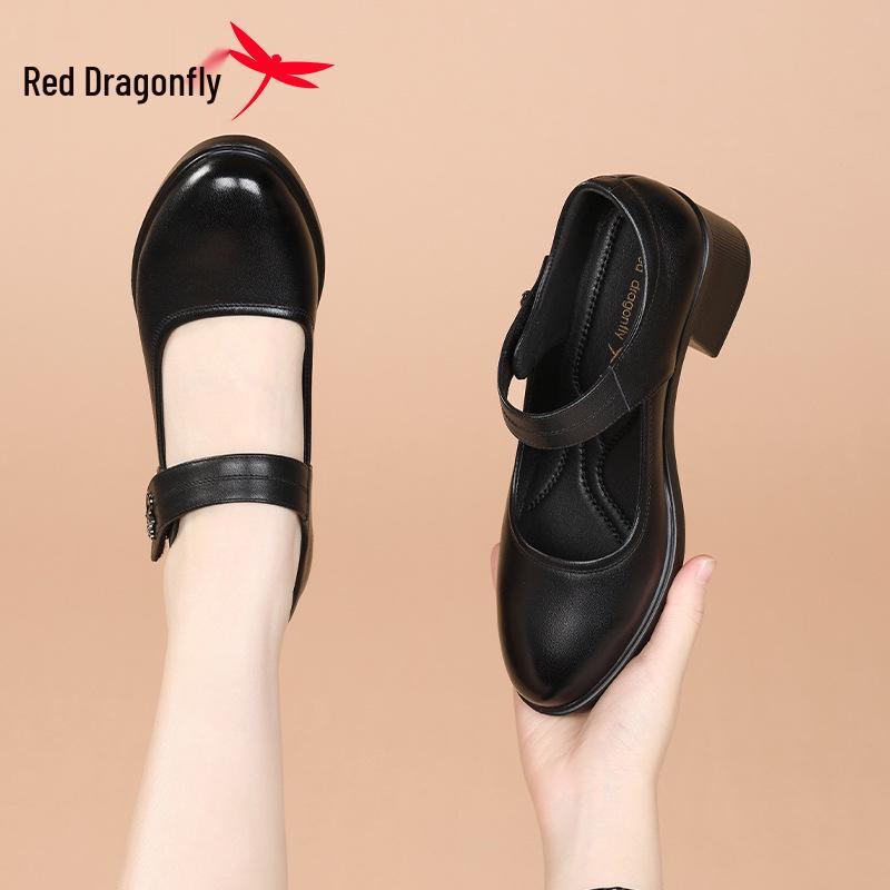 Red Dragonfly Women's Mary Jane Summer High Heels: Thick Sole Leather Casual Shoes