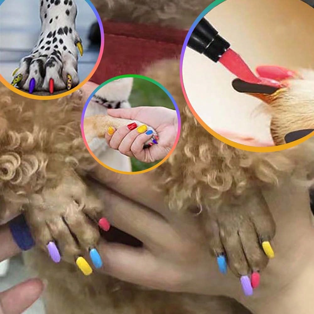 Pet Nail Polish For Dogs Or Cats, Easy Application Dog Nail Polish, Fast Dry Dog Polish-12colors
