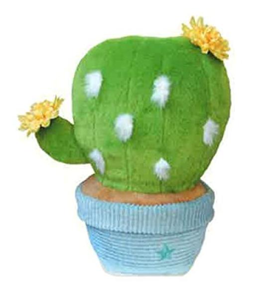 Manemane + Garden Fan Cactus