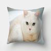 Cute Cat Print Decorative Cushion Pillowcase  Cover Pillow Sofa Living Room