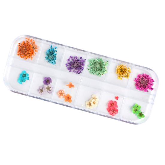 Nail Art Trockenblumen Einzigartige exquisite konservierte Nagelaufkleber aus Kunststoff für Nagelstudios