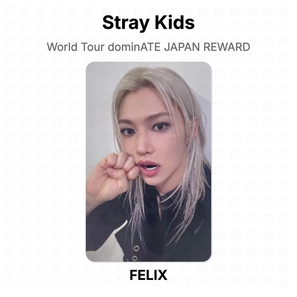 Stray Kids World Tour dominATE JAPAN REWARD Official Photocard
