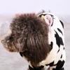 Hooded Dog Winter Coat Cow Pullover for Cold Weather Four-Legged Clothing