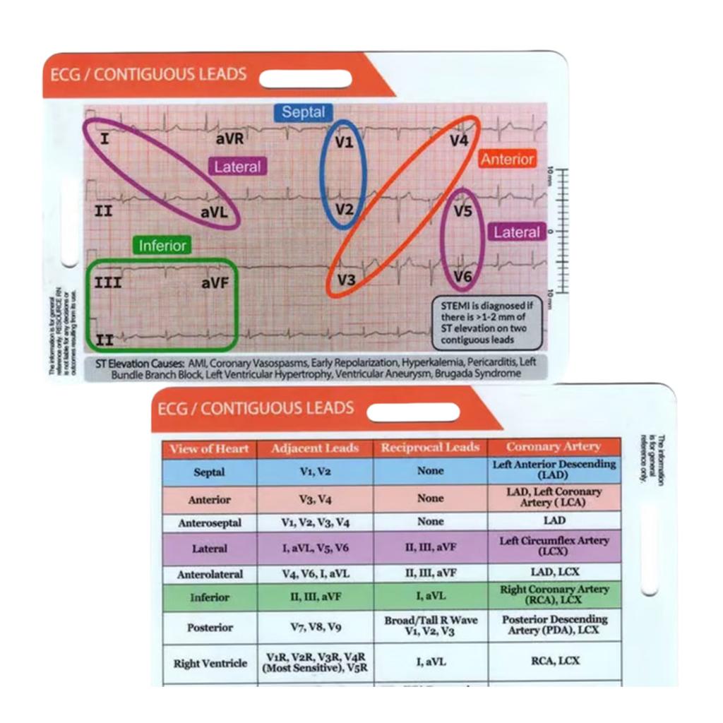 Rhythm Pocket Reference Card For Teaching Practicing Music Enthusiasts Portable Designs With Clear Marking Easy Reading