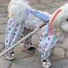Polyester Dog Four Legged Pants With Shoes Dog Leg Protection Pants  Summer