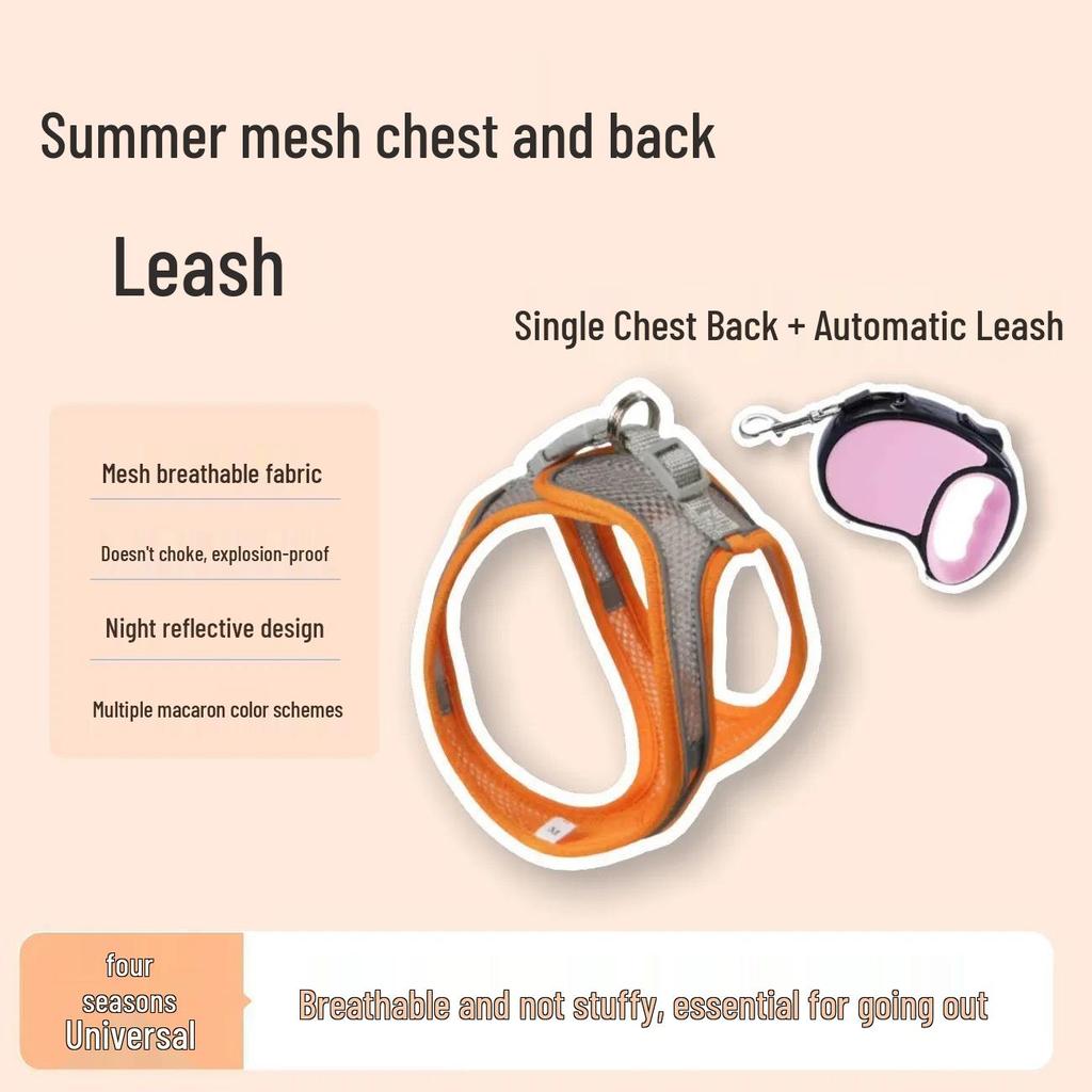 Adjustable Cat Anti-Escape Leash & Harness for Outdoor Walking