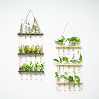 Hydroponic Plant Test Tube Glass Wall Vase Hanging Wooden Hanging Hemp Rope Flower Stand Wall Decoration for Home Decor Gifts