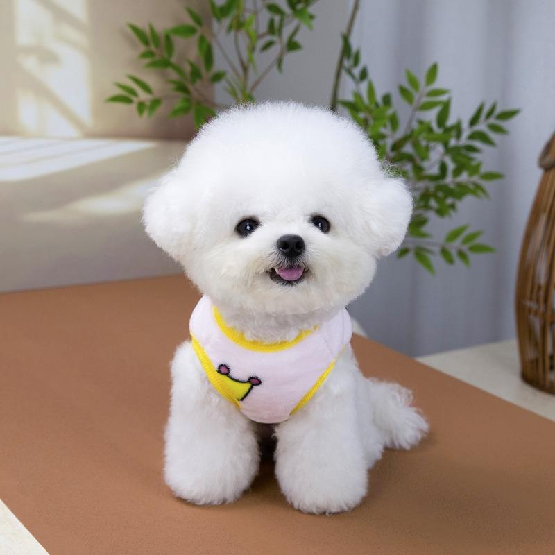 Small Dog Crown Velvet Clothes Pet Warm Clothing Cute Winter Cat Pullover Teddy Pretty Sweatshirt Pet Supplies