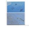 Letter set Ocean Fish TL065