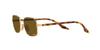 RB3690 Sunglasses In Brown with Contrast Enhancement Polarized Size 54 Ray-Ban Arista/Chromance/Crystal Lenses,