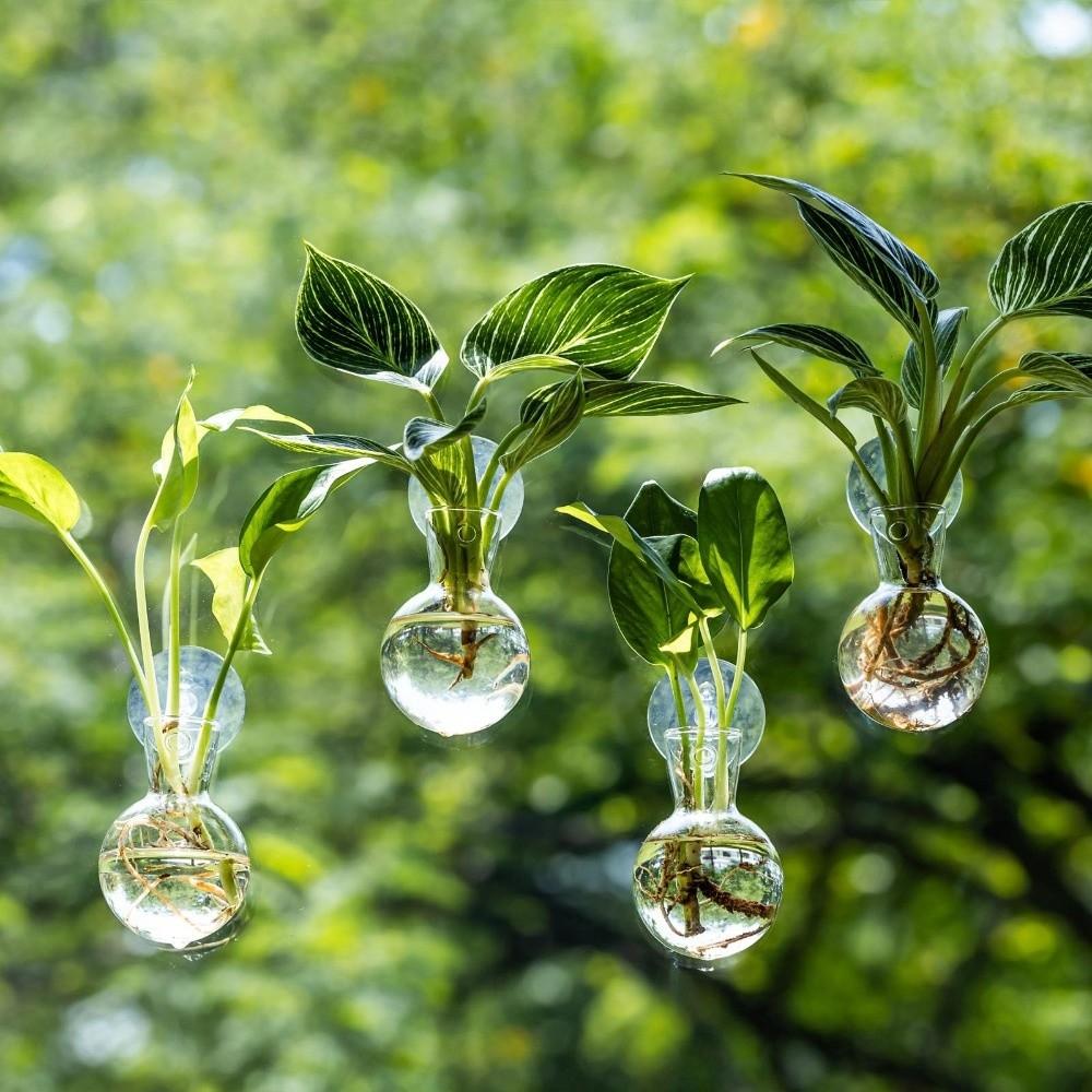 4pcs/set Self-Watering Plant Hydroponic Vase Transparent Hanging Fish Tank Mini Flower Pot Bathroom