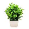 Plastic Artificial Plants Potted 8 Styles Home Garden Decor Grass Plants Pot Ornament Fake Flowers