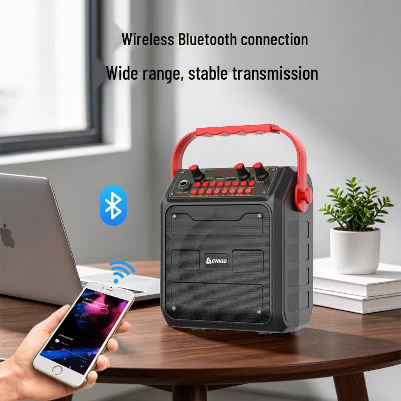 CHIGO Portable Bluetooth K-Song Speaker (CN version)
