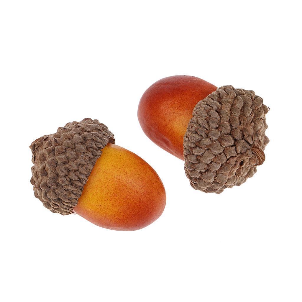 100Pcs Natural Acorns Real Acorns Caps Home DIY Christmas Natural Acorn