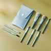 Macaron Color 8-piece Mini Makeup Brush Set with Portable Bag: Powder, Blush, and Eyelash Comb Brushes Included