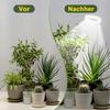 2-Pack LED Full Spectrum Plant Lights for Indoor Plants with Automatic Timer, USB Adapter, 4 Brightness Levels, and Adjustable Height
