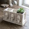Spooky Halloween Skull Pen Holder 3D Printed Small Skull Storage Rack Halloween Party