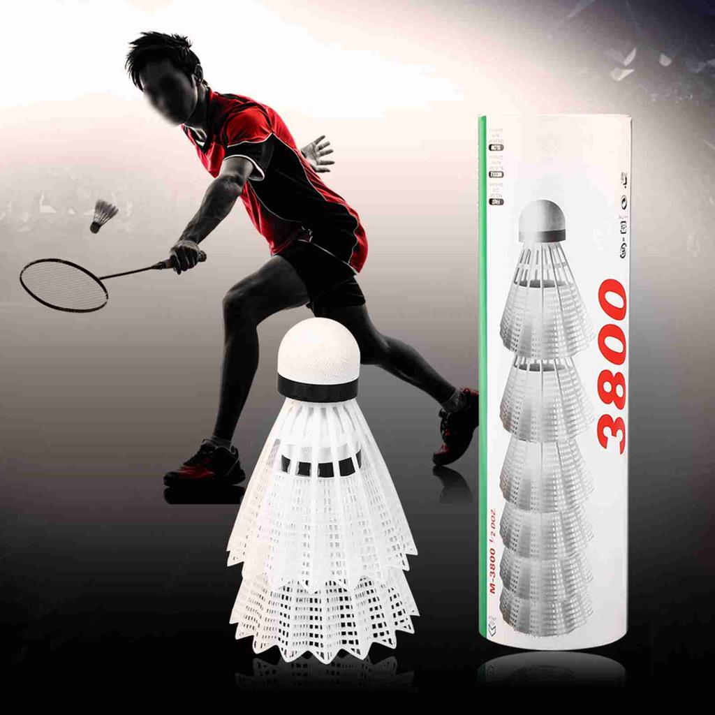6 Pieces Badminton Shuttlecocks Fther Shuttlecock with Storage Case for Training Practice Casual Game Outdoor Sports