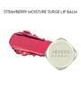 Jovees Herbal Strawberry Moisture Surge Lip Balm 8g Pack of 1 Intense Hydration Soft Shiny Lips Daily Care