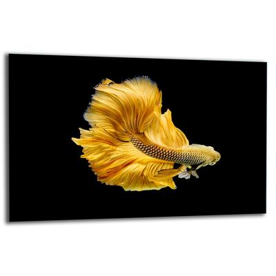 GLASS PROTECTIVE PLATE FOR STOVE 80x52 FISH
