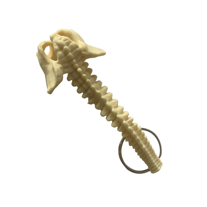 Portable Human Spine Model Keychain - Creative Small Skeleton for Biology Teaching