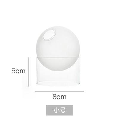 Mini Round Flower Vase Hydroponic Container Micro Landscape Glass Ecological Bottle Borosilicate Glass Bottle With Home Decorate