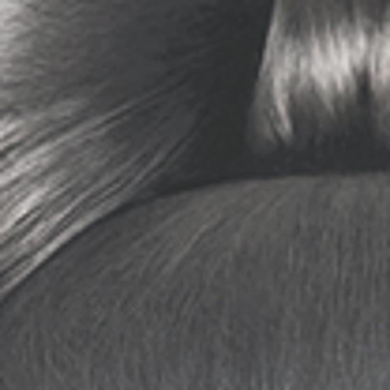 

Moremo Keratin Less Damage Hair Color Ash Gray (Dye) Ash Gray Hair Color with Less Damage