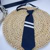 Clip On Necktie For Men Women Kids Classical Polyester Tie With Easy Snap Button For Business Casual Event