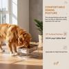 Dog Food Bowl  Large Capacity Raised 15 Tilted Neck Protection Feeder for Pet Comfort Feeding
