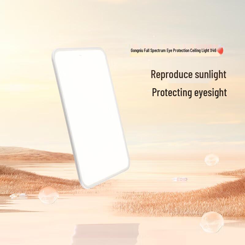 Gongniu X46 Series LED Ceiling Light