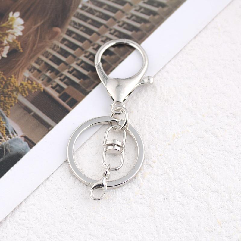 10Pcs Heavy Duty Metal Keychain Lobster Claw Swivel Clips with Key Ring for Purse Strap Attachment