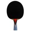 Double Fish 4-Star Table Tennis Racket