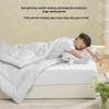 HLA Antibacterial Thickened Wool Winter Duvet