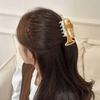 Multipurpose Acrylic Hair Claw Clip Musical Instrument Design Hairpin Hair Ornament For Women Gift For Music Lover