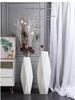 Nordic Minimalist Ceramic White Floor Vase for Dried Flowers and Lucky Bamboo, Living Room Decor