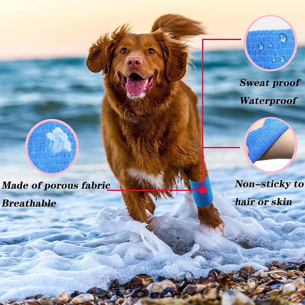6/12 Rolls Self Adhesive Bandage Wrap Cohesive Breathable Vet Wrap For Sport Wounds 2 X 5 Yards Athletic Support