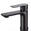 TLXT Gold Flat Design Single Cold Basin Faucet