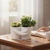 Decorazioni per la casa – Vasi di fiori decorativi