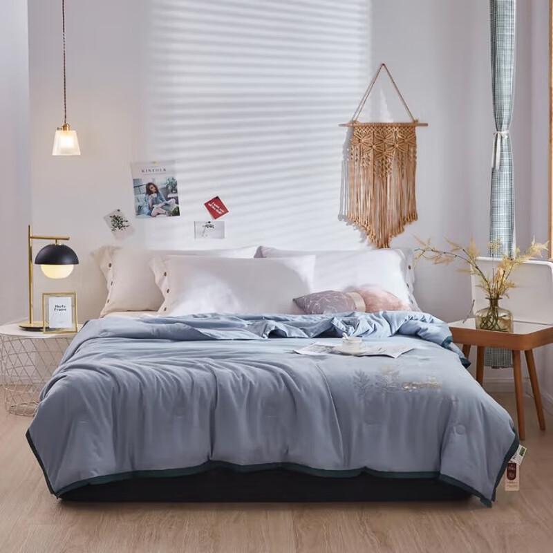 

Tang Na Herbal Antibacterial Summer Quilt