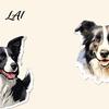 Cute Dog Laptop Stickers 50PCS Border Collie Stickers Theme Decorative Waterproof Vinyl Decals for Journals And DIY Crafts High Quality PVC