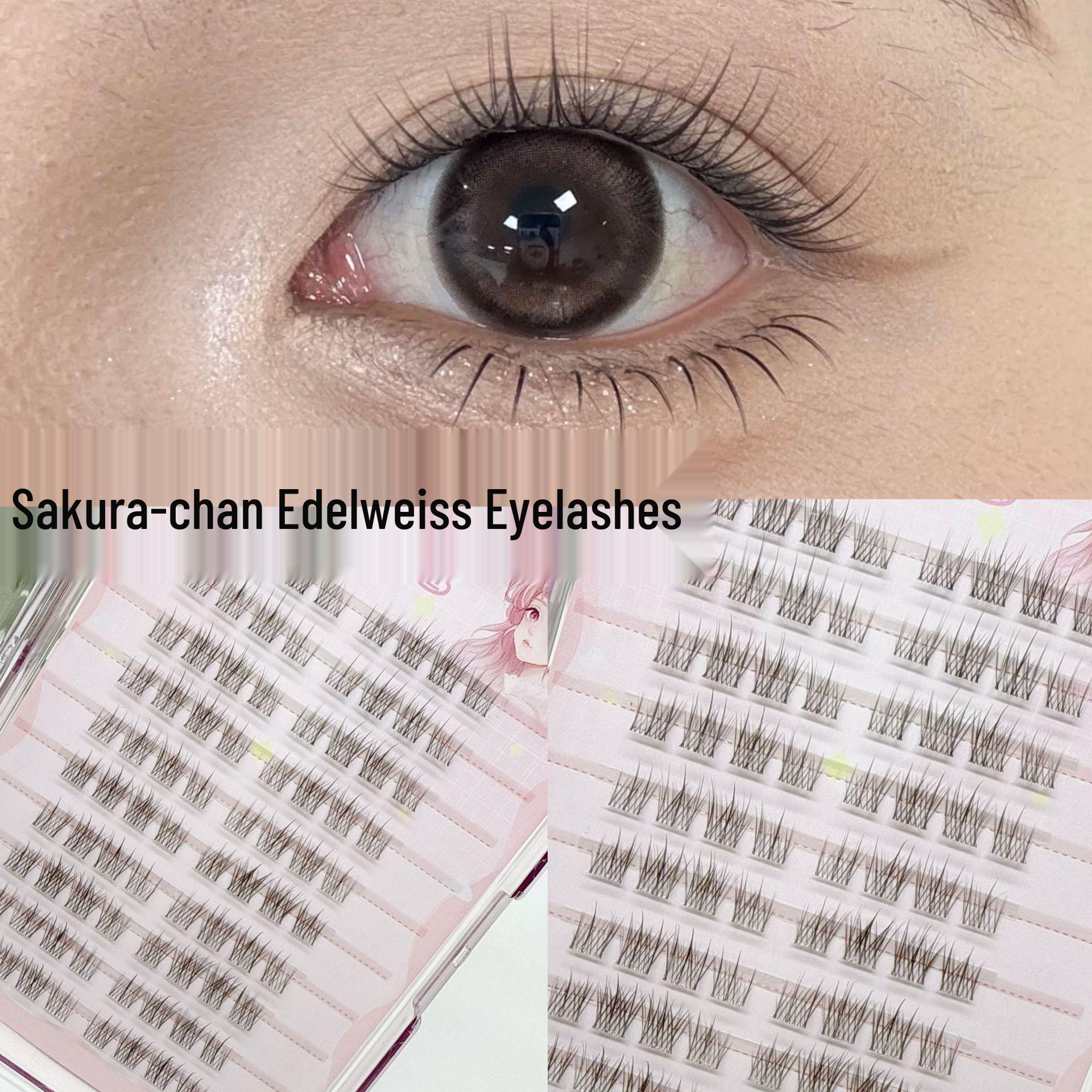 Sakura Chan Edelweiss Natural-Look False Eyelashes - Beginner-Friendly Segmented Clusters, Realistic & Transparent for a Bare-Face Look