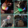 Adjustable USB Rechargeable LED Dog Collar Multi-Color Soft 4 Flashing Modes Cut- to- Fit Design for Nighttime Safety Visibility