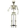 Halloween Skeleton Model Scary Life Size for Spooky Attraction