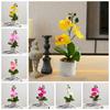 Advanced Artificial Orchid Flower 3 Heads Fake Phalaenopsis Bonsai  Office