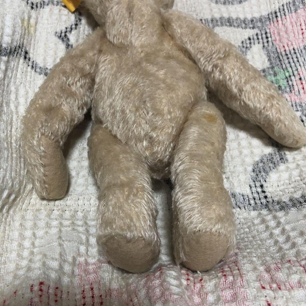 [USED] Steiff Classic Teddy Bear, Light Beige, 30cm, Pre-owned
