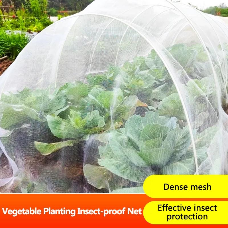 Gartenpflanze Insektenschutznetz Gemüse Blume Frucht Gewebtes Netzabdeckung Pflanze Vogelabwehrnetz Schädlingsbekämpfung Schutznetz
