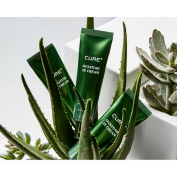 KimJungMoon Aloe La Sense Cure Signature 3X Cream 50ml