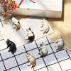 DW93 5pcs Kawaii Resin Mini Sleeping Cat Mini Figures Miniature Things Statues Dollhouse Room Home Decor Items Desk Accessories