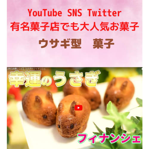 Silikon Hasenform, Canel? Form, Financier-Form, Madeleine-Form, Tigre-Form, Keksform, Backwaren, Hasenform, Süßwarenform, 9-Mulden, Qua